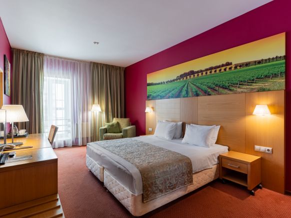 Фотография номера гостиницы Евразия