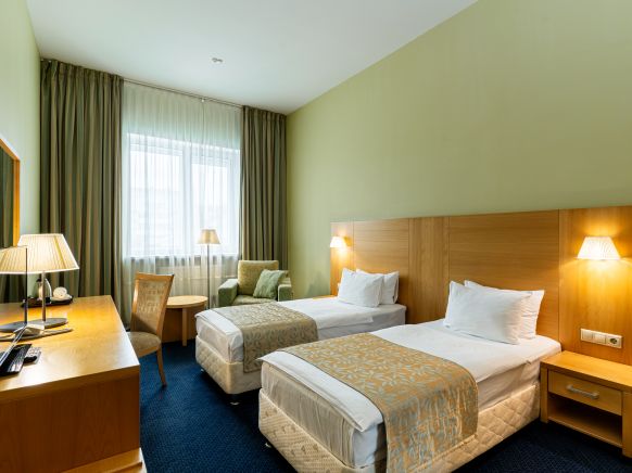 Фотография номера гостиницы Евразия