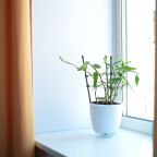 Двухместный (Комфорт с 1 большой кроватью), Центр Отель