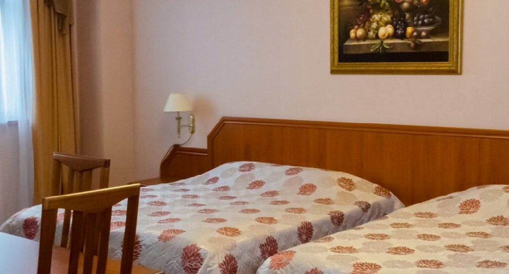 Полулюкс (С двумя кроватями) отеля Профит, Тула