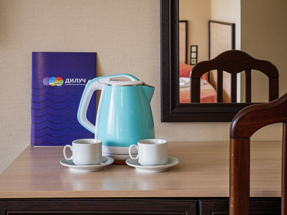 Фотография номера санатория ДиЛУЧ