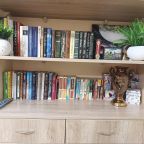 мини-библиотека