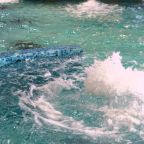 Аквапарк, Курортный отель Беловодье