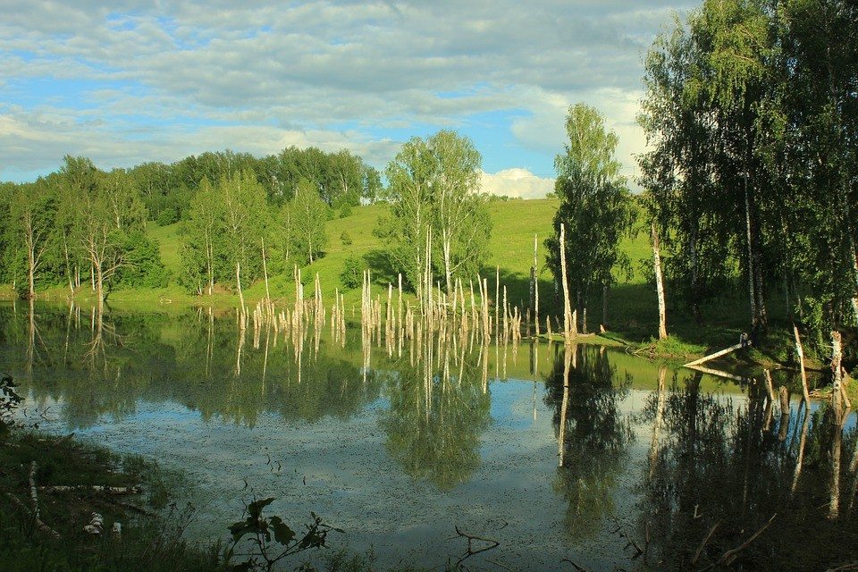 Заставки с квадроциклами