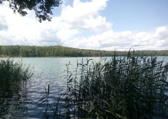 Базы отдыха озера Череменецкого