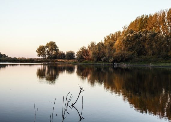 Базы отдыха реки Воронеж
