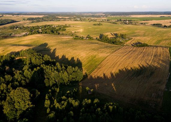 Гостиницы бальнеологических курортов Грузии