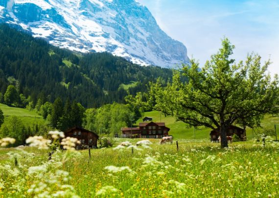 Гостиницы Швейцарских Альп