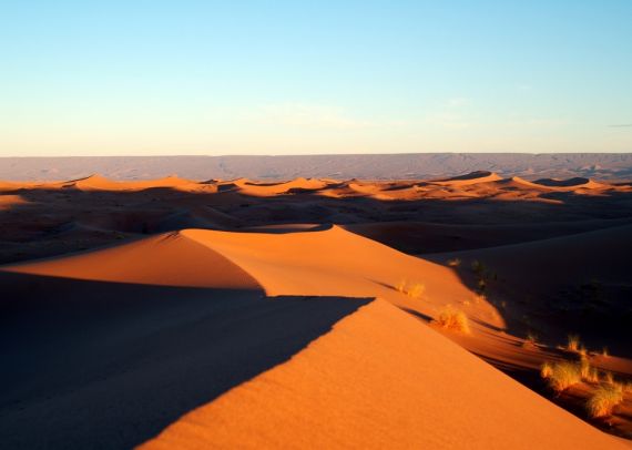 Гостиницы Пустыни Сахара