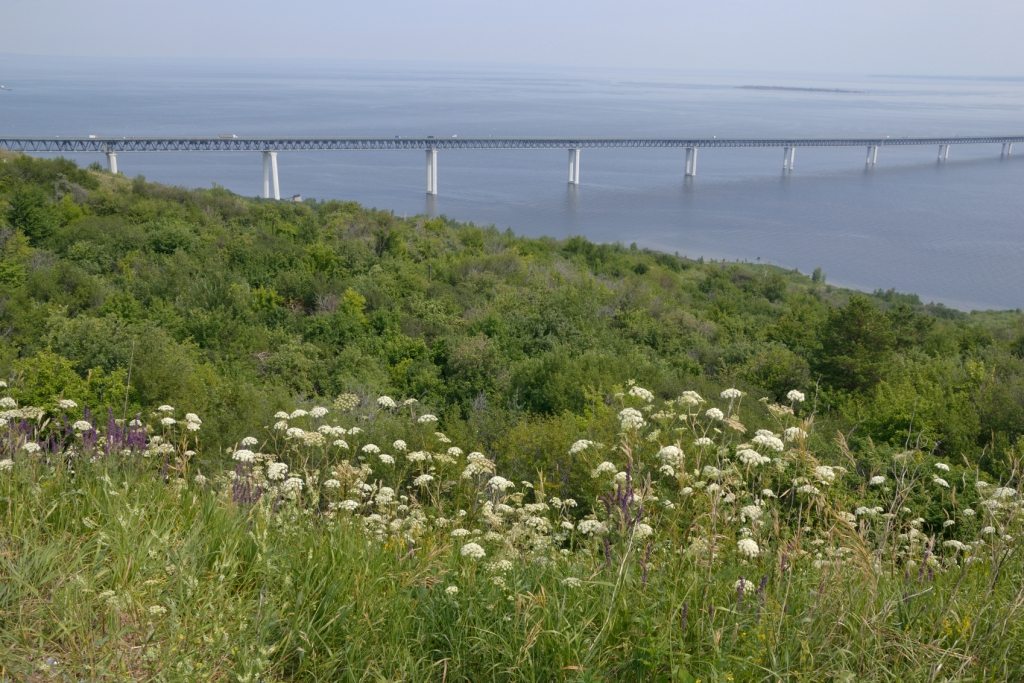 Куйбышевское водохранилище ульяновск фото