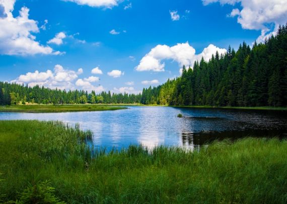 Базы отдыха России по рекам, озерам и водоемам