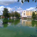 Рядом с отелем небольшой пруд с утками