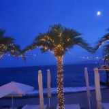 Пальмы на пляже отеля 