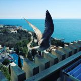 Ялта Интурист - Отель Yalta Intourist Green Park, фото гостя