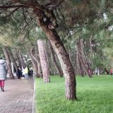 Геленджик, фото отдыхающего в декабре