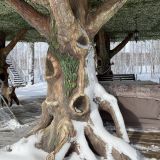 База отдыха Волшебная страна, фото гостя