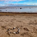 Комарово, фото отдыхающего в апреле