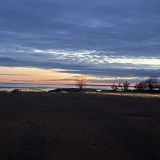 Комарово, фото отдыхающего в апреле