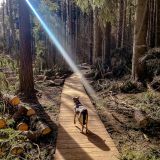 Комарово, фото отдыхающего в апреле