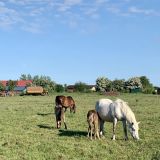 Эко-отель Лосиный двор, фото гостя
