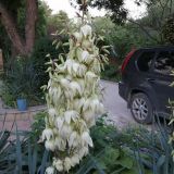 Гостевой дом Орхидея, фото гостя