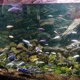 Воронеж, фото отдыхающего в июле