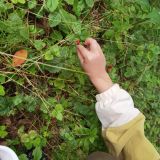 База отдыха Белка, фото гостя