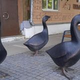 Арзамас, фото отдыхающего в августе