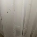 в номере на шторах комары