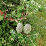 Гостиница 13 стульев, фото гостя