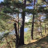 Никола-Ленивец, фото отдыхающего в октябре