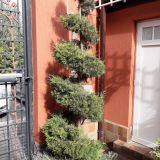 Отель Дали, фото гостя