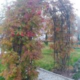 Екатеринбург, фото отдыхающего в октябре