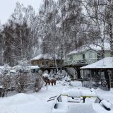 База отдыха Волшебная страна, фото гостя