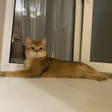 Гостиница Nord House, фото гостя