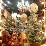 Куршская коса, фото отдыхающего в январе