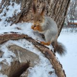 Самара, фото отдыхающего в феврале