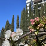 Адлер, фото отдыхающего в марте