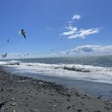 Адлер, фото отдыхающего в марте