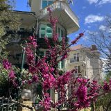 Адлер, фото отдыхающего в марте