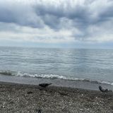 Сочи, фото отдыхающего в апреле