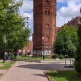 Ижевский пруд, фото отдыхающего в июне