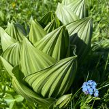 Каменномостский, фото отдыхающего в июне