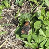 Каменномостский, фото отдыхающего в июне