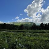 Каменномостский, фото отдыхающего в июне