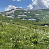 Каменномостский, фото отдыхающего в июне