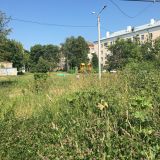 Новомосковск, фото отдыхающего в июне