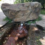 Новомосковск, фото отдыхающего в июне