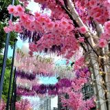 Новосибирск, фото отдыхающего в июле