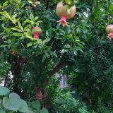 Геленджик, фото отдыхающего в июле